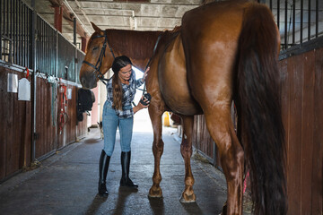 Woman brushes her horse in stables
