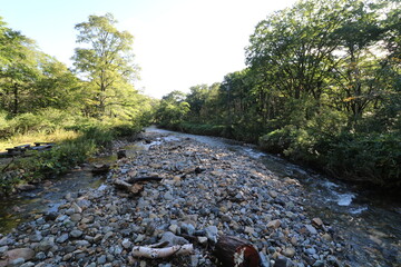 鳩待峠から山の鼻を経由した尾瀬の至仏山への登山