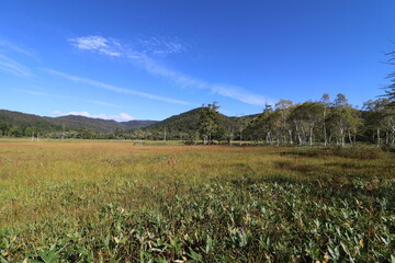 鳩待峠から山の鼻を経由した尾瀬の至仏山への登山