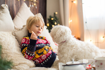 Cozy christmas atmosphere at home, child sitting on the bed, eating cookies with his little pet...