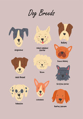 Dog breeds poster on pastel pink background. Domestic dogs faces. Popular dogs characters.