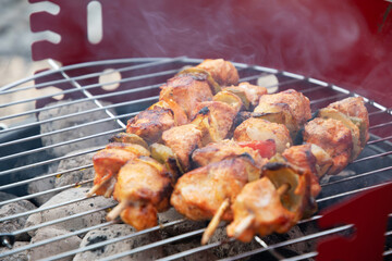 summer picnic with barbecue marinated chicken skewers with grilled vegetables