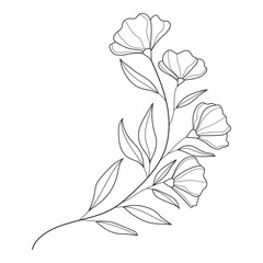 Botanical leaf Wildflower Line art