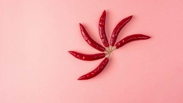 rotating red chilies on light pink background, ripe common vegetable used for their spicy taste