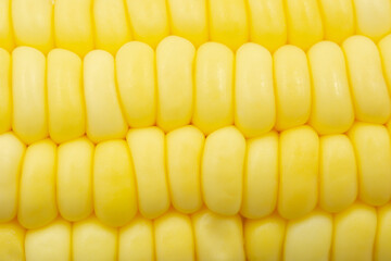 Close up Raw corn kernels in rows.