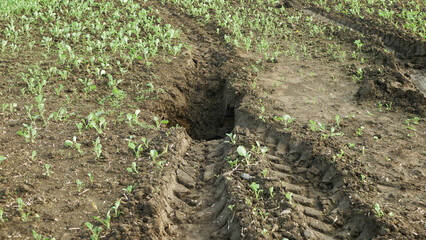 Erosion damage field subsoil hole pit soil inappropriately managed earth land degradation field....