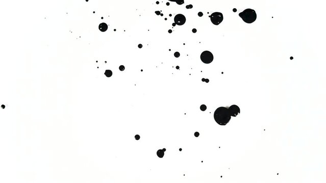 Drop black paint animation on the isolated white background. Abstract black ink footage for artistic overlay, transition and texture footage.