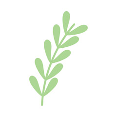 green leaves branch