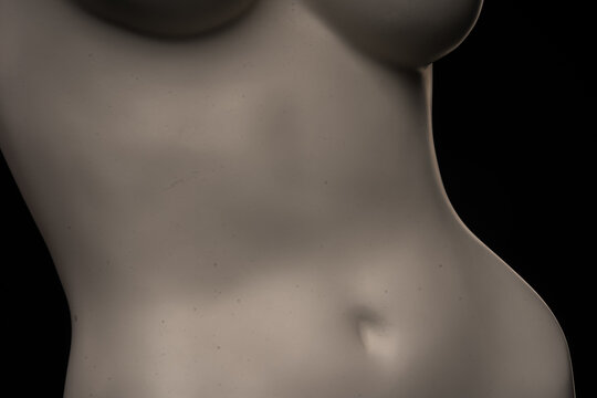 plastic female mannequin torso isolated