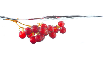 Red grapes in water. Grapes in water splashes isolated. Red Grapes Splashing Into Water on white...