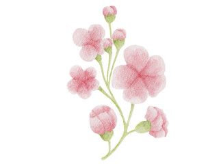 Pink Bouquet of Flowers Watercolor