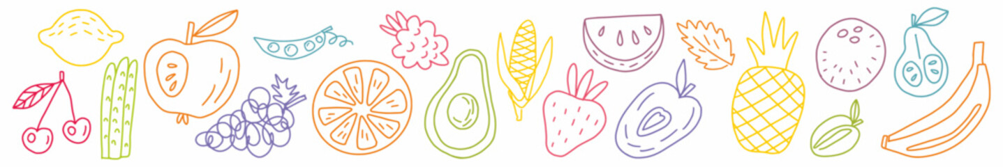 Vector horizontal set of fruits drawn in the style of doodles.