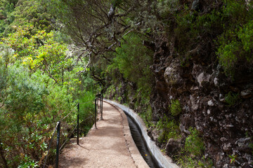Fototapeta premium Rabacal, nature hiking area the Levada do Risco levada hiking trail, left a levada water pipe, Madeira, Portugal, Europe