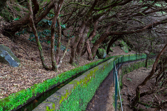 Rabacal, nature hiking area  the Levada do Risco  levada hiking trail,  left a levada water pipe,  Madeira,  Portugal,  Europe