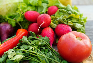 Layout made with of various vegetables on a table in a garden, outdoor