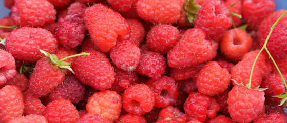 Ripe red raspberry background with green leaves