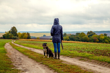 A woman walks her dog in a field after a thunderstorm. Girl with staffordshire terrier in nature on...