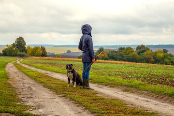A woman walks her dog in a field after a thunderstorm. Girl with staffordshire terrier in nature on...