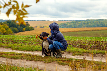 A woman walks her dog in a field after a thunderstorm. Girl with staffordshire terrier in nature on...