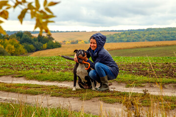 Naklejka na ściany i meble A woman walks her dog in a field after a thunderstorm. Girl with staffordshire terrier in nature on a cloudy day. The concept of freedom, happiness, friendship, nature.