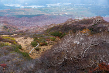 山の風景、登山