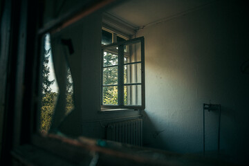 window