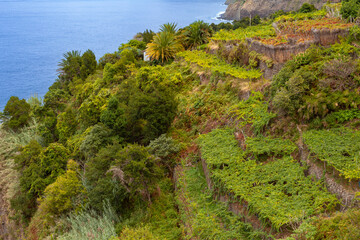 Fototapeta na wymiar Sao Vicente Valley ,Madeira, Portugal, Europe