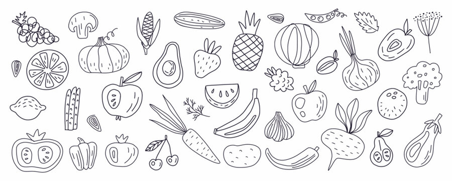 Vector set of fruits and vegetables drawn in the style of doodles with a thin line.