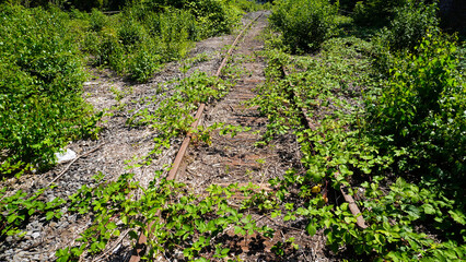 Stillgelegte Bahnschienen.