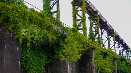 Die Natur erobert sich eine ehemalige Industrieanlage zur&uuml;ck.