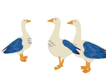 Illustration de trois oies blanches et bleu marine, bleu clair. Ces animaux volatiles sont sur fond blanc.