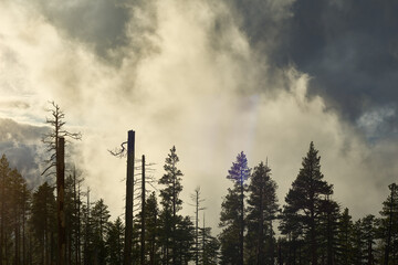 Clouds in Oregon mountains at sunset.