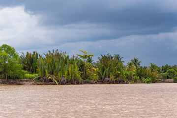 Mekong river, Vietnam