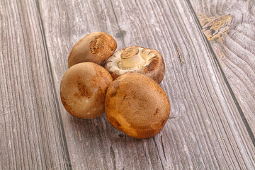 Raw brown champignons mushroom heap
