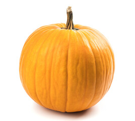 Orange pumpkin on white background. haloween concept.