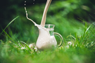 Milch wird eingeschüttet auf einer Wiese mit Gänseblümchen