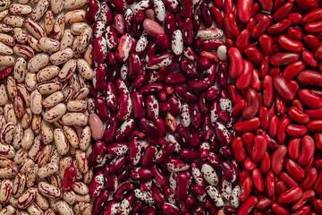 Set of red beige pinto beans, white purple anasazi beans and red kidney beans. Organic food. Food...