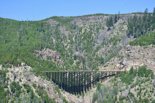 Trestle  in the Valley