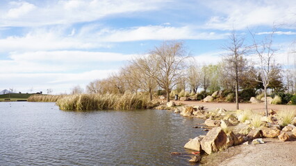 Vista por el camino del parque