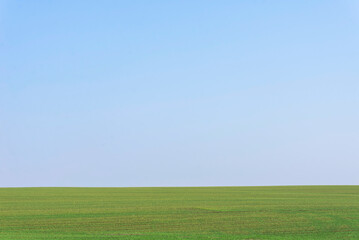 Green field with blue sky as background.