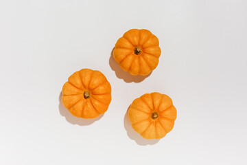 Fresh ripe orange pumpkins on white background. Space for text mockup Halloween concept