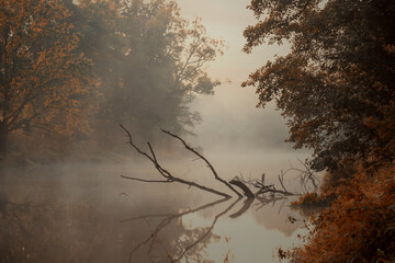 Krajobraz jesienny. Mglisty jesienny poranek nad dziką rzeką. Poranna mgła nad wodą