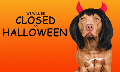 Signboard with the inscription We will be closed on Halloween. Lovable brown dog and bright,...