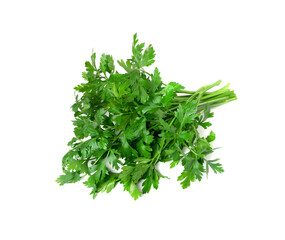 Curly Parsley Leaves Isolated