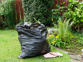 bag with gardening waste and gloves, UK