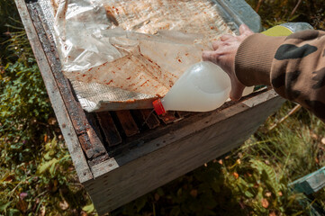 bees anti parasites treatment