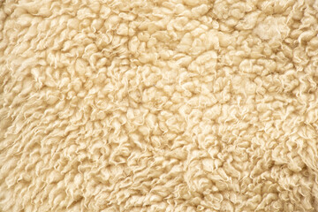 White sheep wool as a background, natural wool, animal