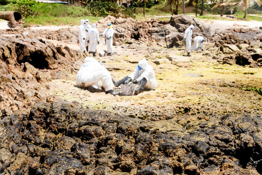 Cleaning Agents Extract Oil From Pedra Do Sal Beach In The City Of Salvador.