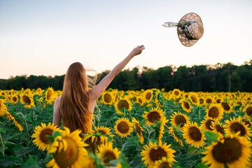 Sunflowers field on sunset. Woman with a long hair throwing a hat. Many beautiful yellow flowers. Summer sun is harvesting sunflower seeds in a harvest season.