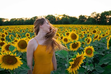 Sunflowers field on sunset. Woman with a long hair is dancing. Many beautiful yellow flowers....